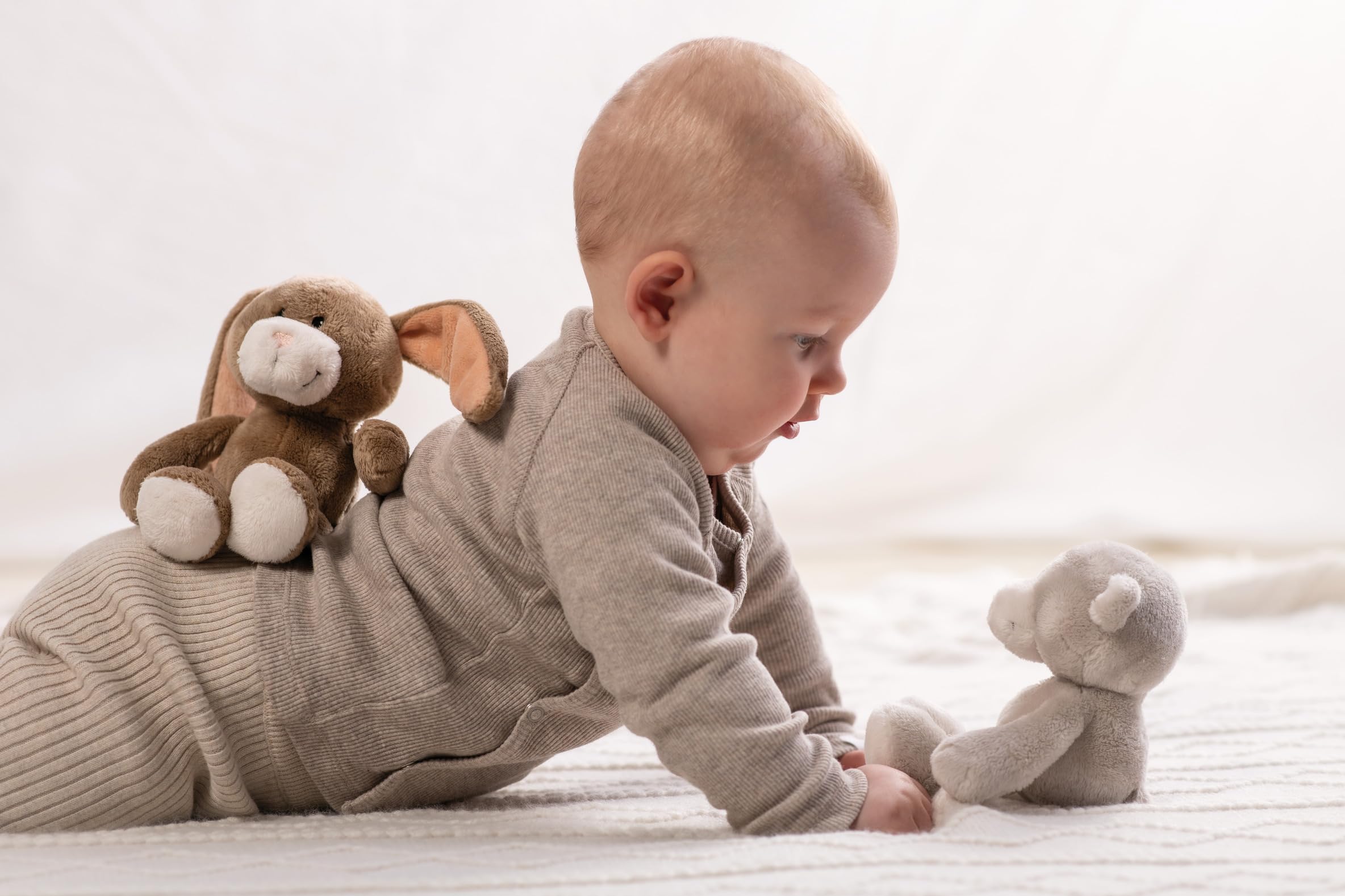 NICI Kuscheltier Hase Lopino 20cm in Geschenkbox 22,5x12,5x7cm - braun - Stofftier aus weichem Plüsch, niedliches Plüschtier zum Kuscheln und Spielen, für Babys & Kleinkinder